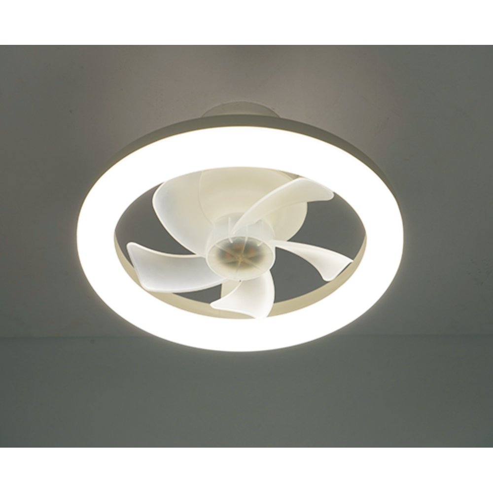 FS-BJG-R260 — 10" RGB Ring Fan Light